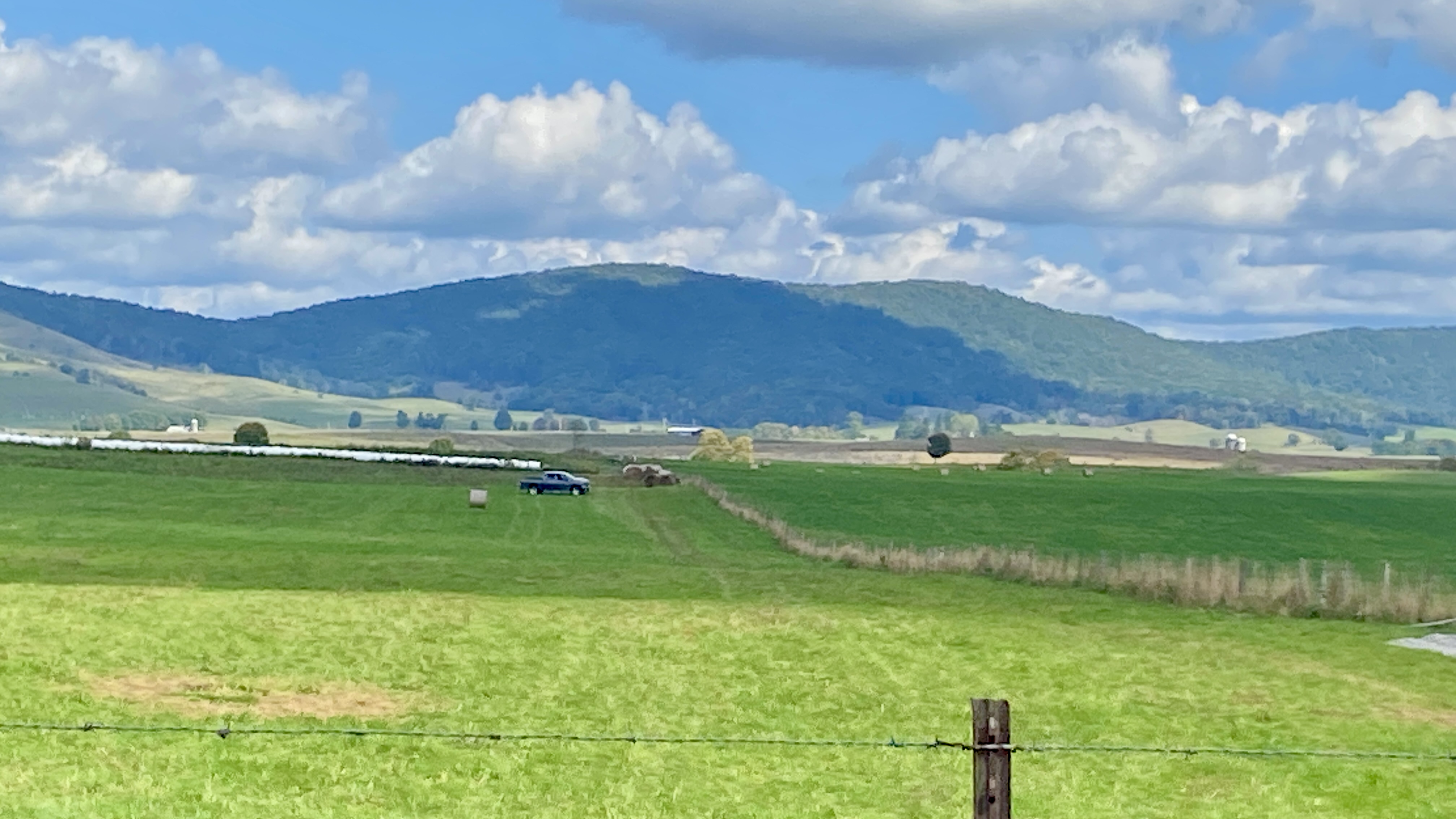 Burke's Garden Farms
