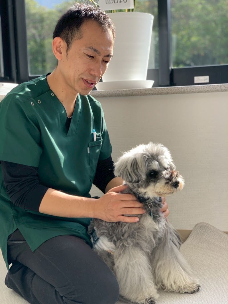 anDog ワンちゃんと飼い主のための整体 犬の整体 ペット整体