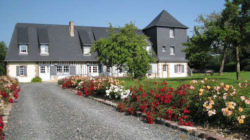 Photo de Les Hibiscus à Honfleur (14600)