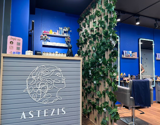 Astezis Art Hair Studio