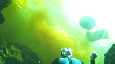 Photos of Devil's Ear Spring