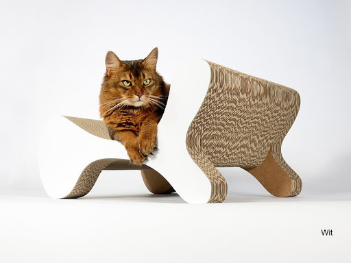 CatDesignStore - Thumbnail