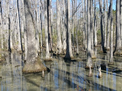 Hobcaw Barony