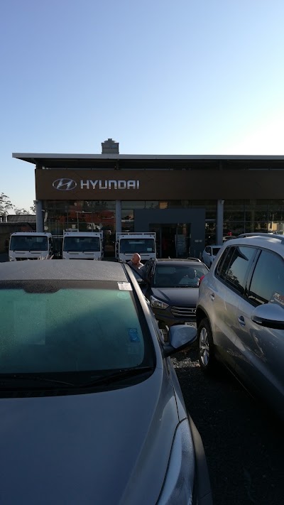 car-dealer