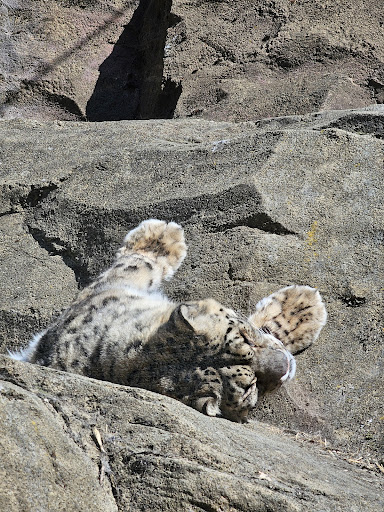 Zoo Facilities - Visual