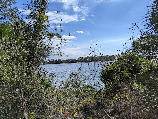 Cove Lane Park - Thumbnail