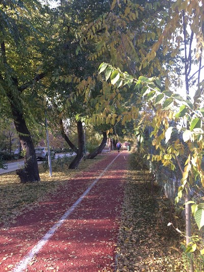 Photos of &Ccedil;ankaya Parkı