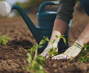 Photo n°7 de Jordan Multiservices à Fleurance (Service d'élagage)