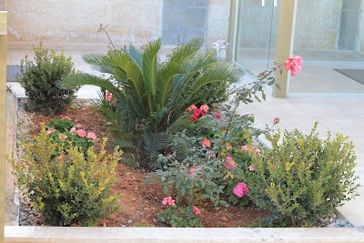 Photos of Dr. Ahmad Mounib Jamous Clinics