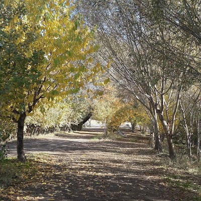 Tatvan Sahil Park