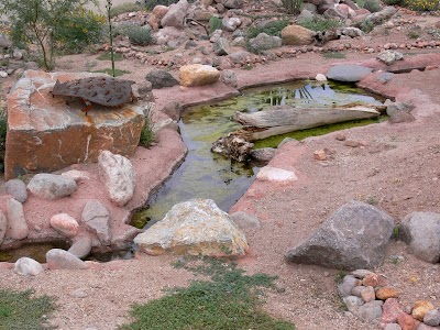 The Chiricahua Desert Museum