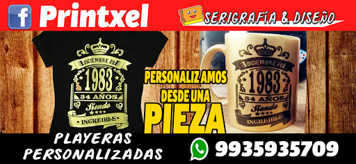 PRINTXEL - Visual