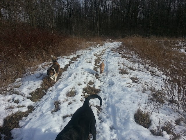 Lyon Oaks Bark Park