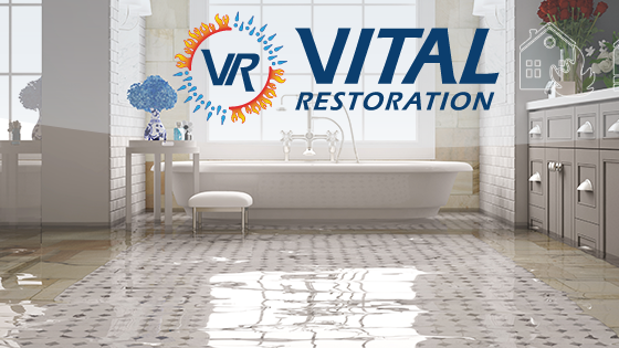Vital Restoration photo
