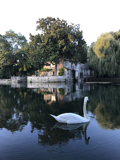 Saintonge Patrimoine et Conseils - Conseil en Gestion de Patrimoine - Charente
