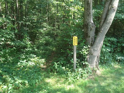 Uplands Preserve trailhead south