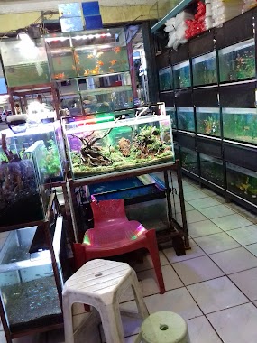 Listy Aquarium, Author: Mohamad Ali