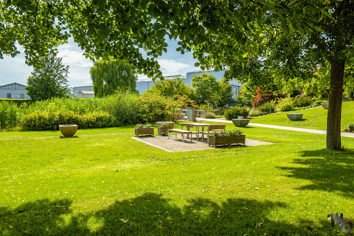 TRACO Park - Visual