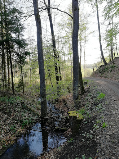 Herrnwald - Visual