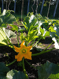 Photo n°3 de Chambres d'hôtes le Chêne à Pernay (Chambre d'hôtes)