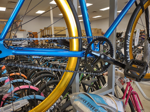 Action Bikes - Visual