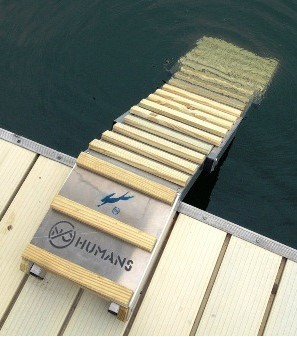 Doggie Ladders - United States