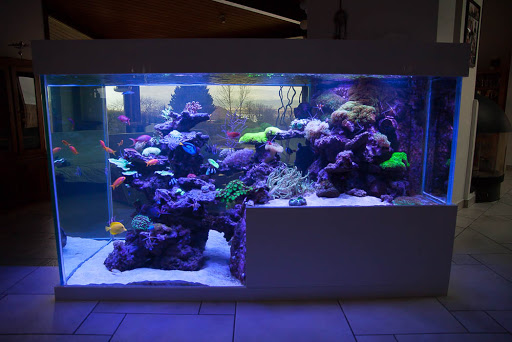 Photo de EAS Paysages Aquatiques à Cusy (74540)