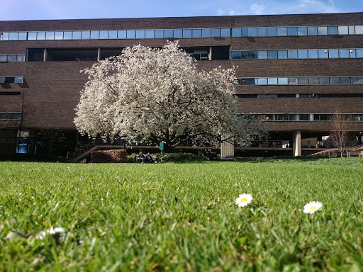 Merz Court