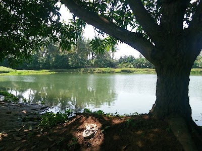 Photos of Teluk Naga Mas - Taman Wisata & Edukasi
