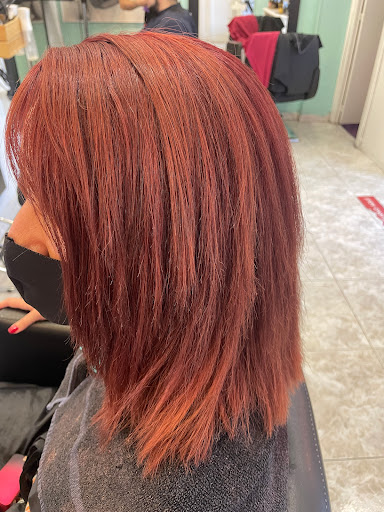 SashaStyle - Visual