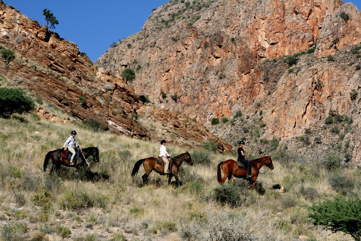 BüllsPort Lodge & Farm by null