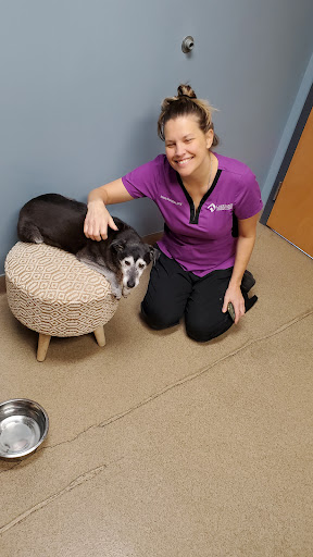 Lakeland Animal Care - Thumbnail