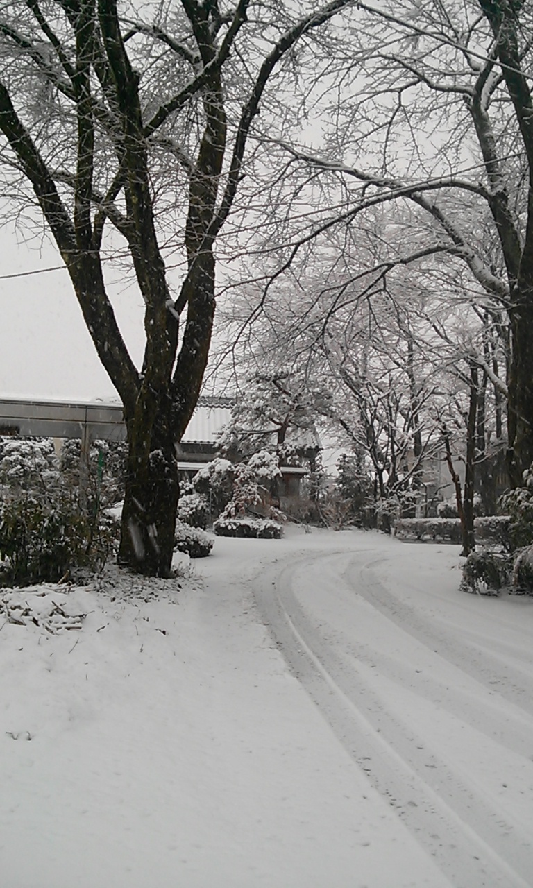 (有)ユアサ今市本店