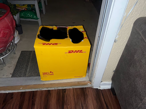 DHL Express Service Point (ZITACUARO) - Thumbnail