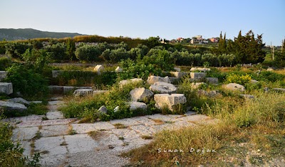 Dor Mabedi, Çevlik