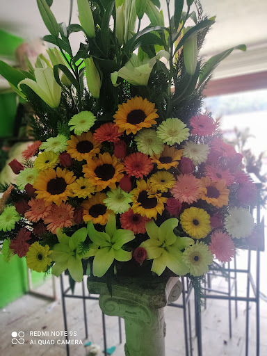 Floreria evelyn