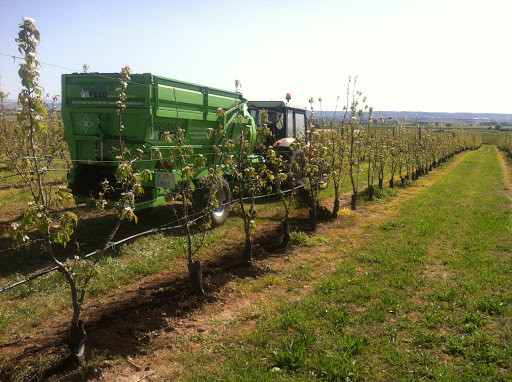 Àrids, transports i excavacions GAYPE, s.l. - Thumbnail