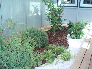 Photo n°3 de Décor Jardin à Vailly (Paysagiste)