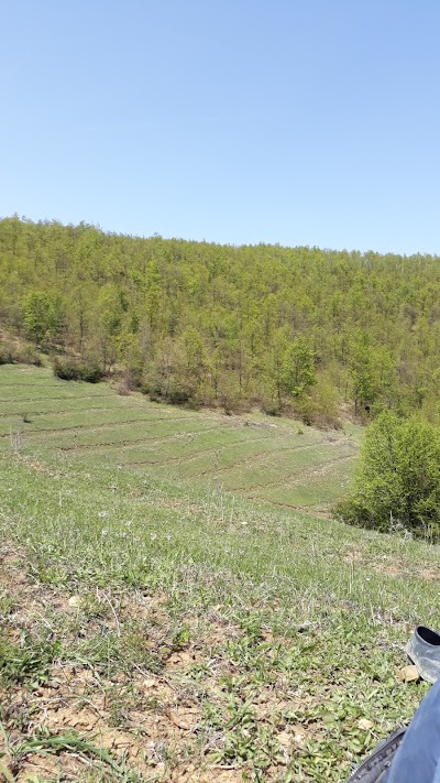 Koca yusufun boğaz