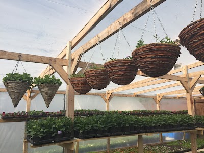 Photos of Daingean Nursery & Garden Centre