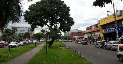 Photos of Libreria Grigota