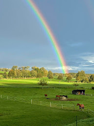 Photo n°3 de Les Écuries de Kalupia à Bernâtre (Pension pour chevaux)