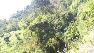 Photos of Kirimiri Hill