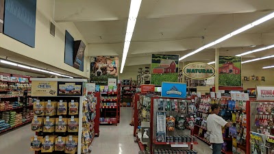 Petco