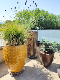 Photo n°8 de Naturélément à Perrignier (Jardinier)
