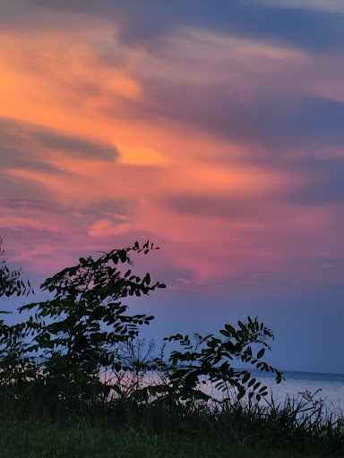 North East Conservation Park Gallery - United States
