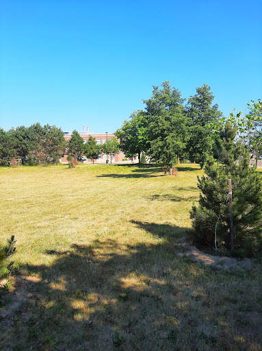 Burnt Elm Park - Thumbnail