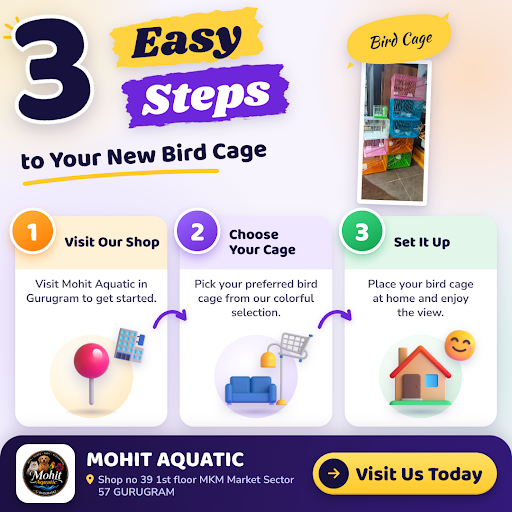 Mohit Aquatic in Gurugram offers a wide range of bird cages in their bird shop. Visit our bird st… post image