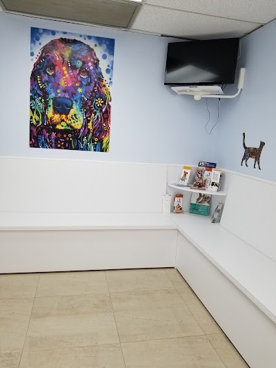 Miami Springs Animal Hospital