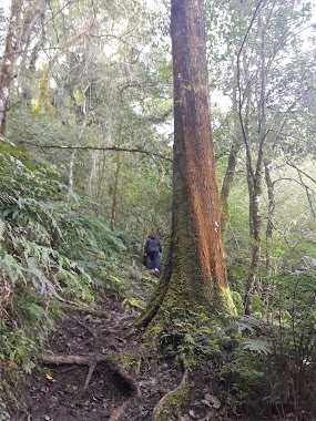 Quebrada de San Lorenzo, Author: Gonzalo Rivero